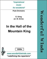 In The Hall Of The Mountain King Flute Ensemble cover